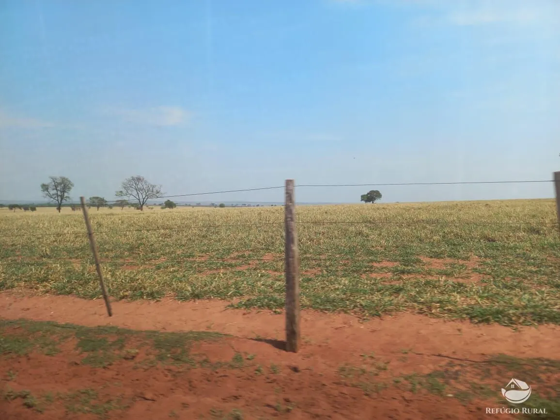 Fazenda à venda de 1.267 ha em Figueirão, MS, Brasil