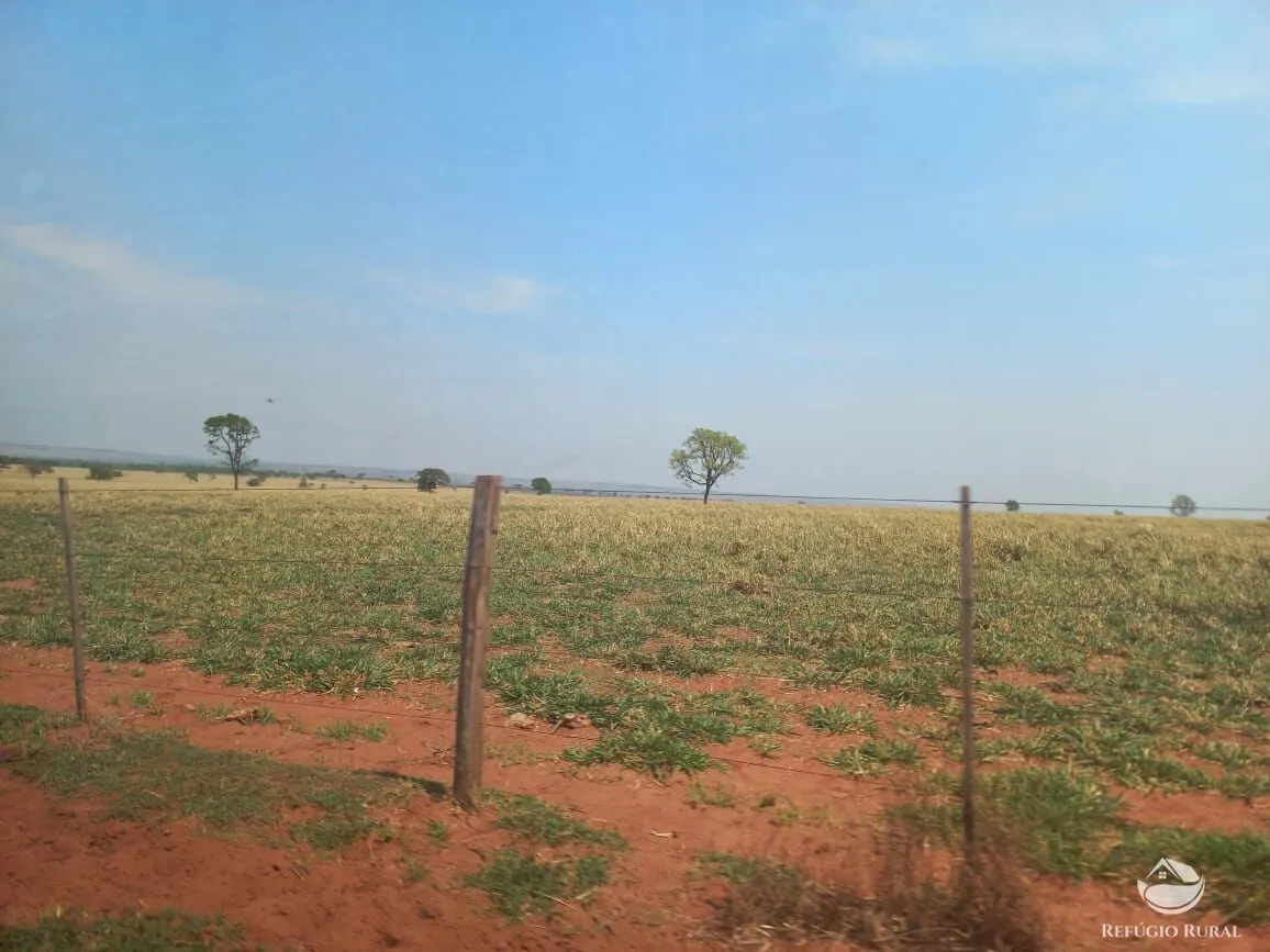 Fazenda à venda de 1.267 ha em Figueirão, MS, Brasil