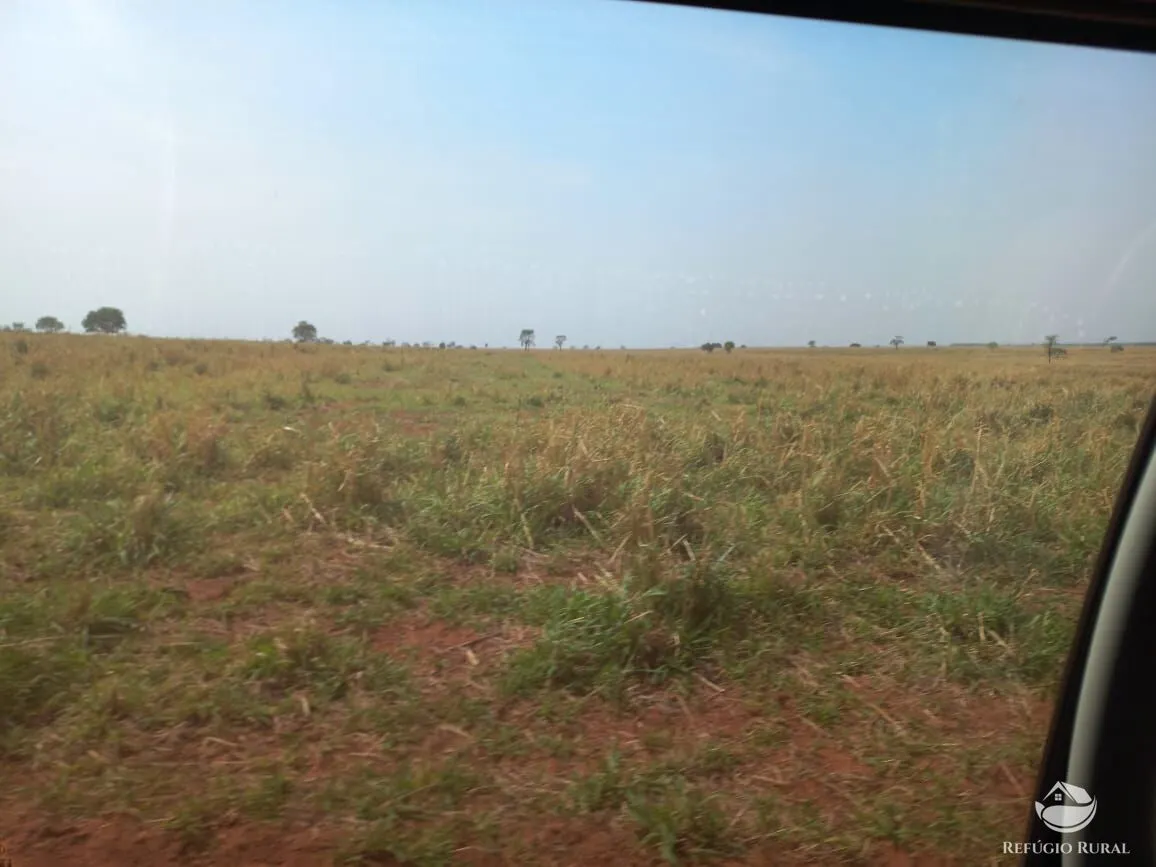 Fazenda à venda de 1.267 ha em Figueirão, MS, Brasil