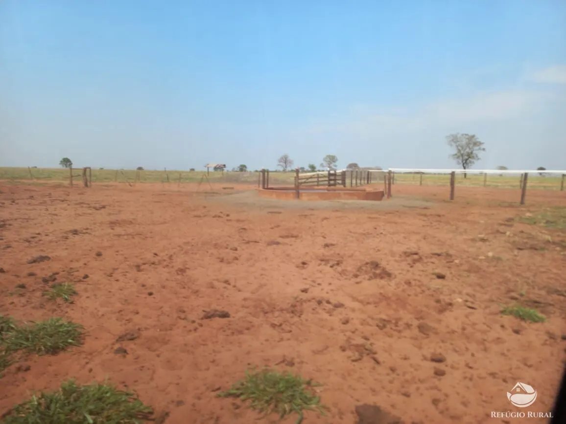 Fazenda à venda de 1.267 ha em Figueirão, MS, Brasil