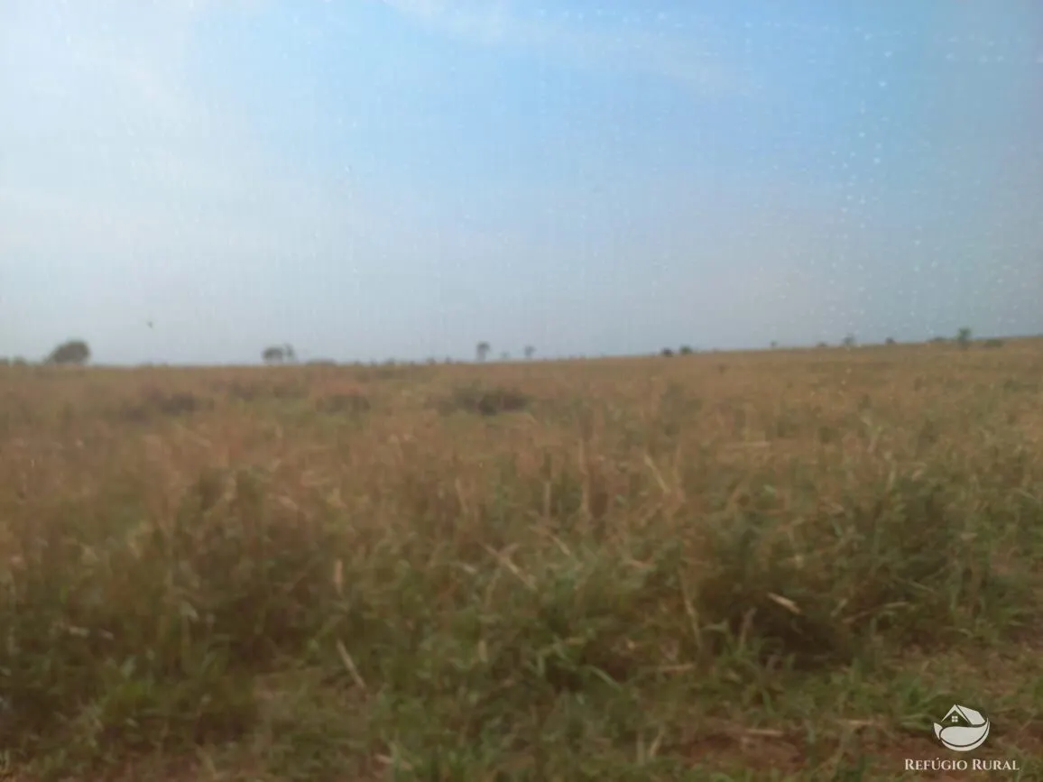 Fazenda à venda de 1.267 ha em Figueirão, MS, Brasil