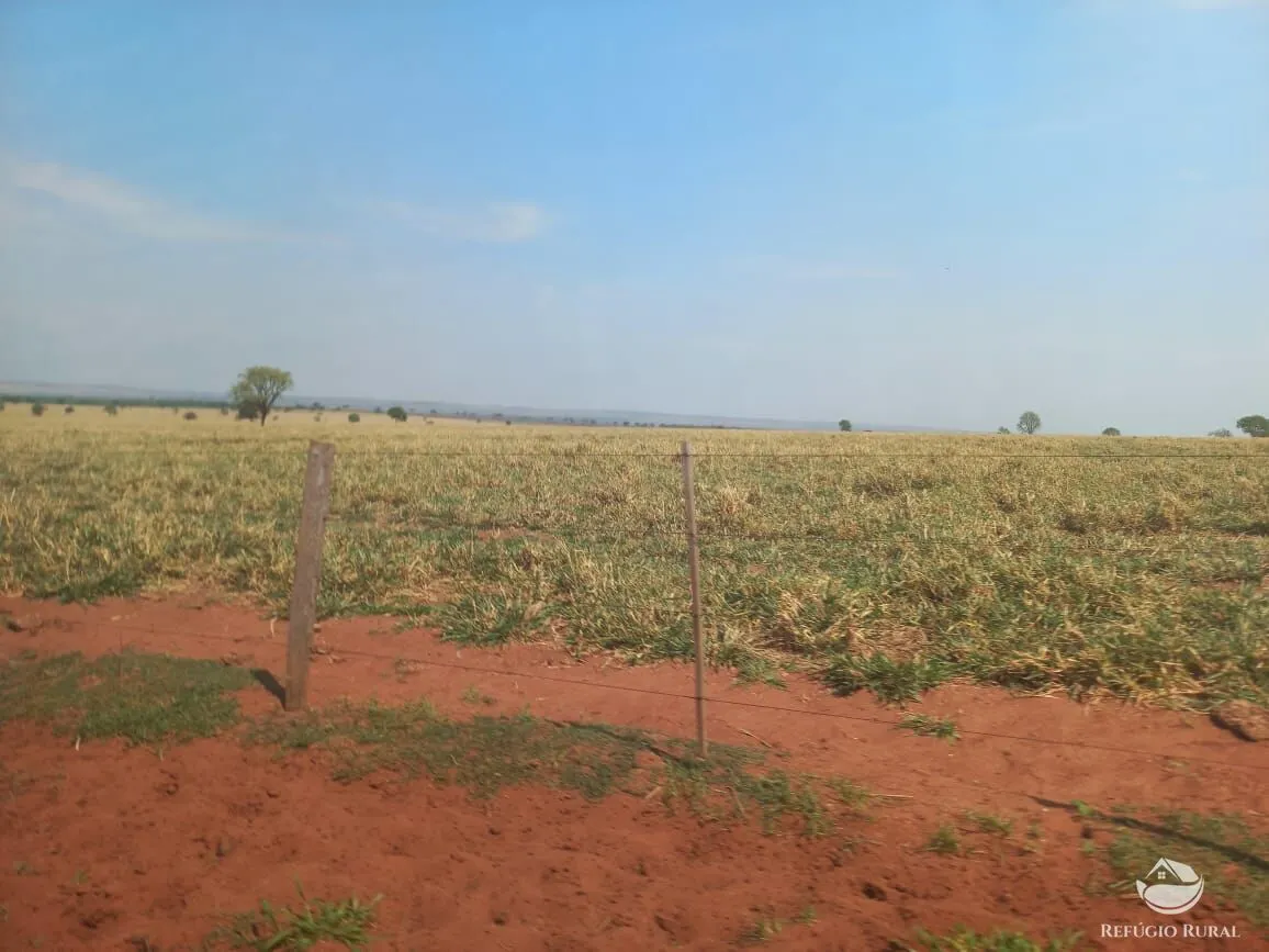 Fazenda à venda de 1.267 ha em Figueirão, MS, Brasil