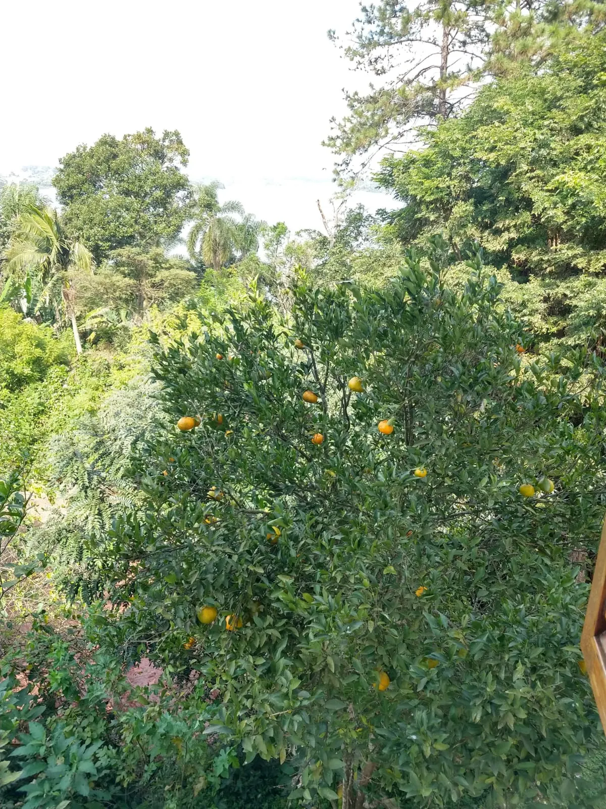 Chácara à venda de 3.500 m² em São Paulo, SP, Brasil