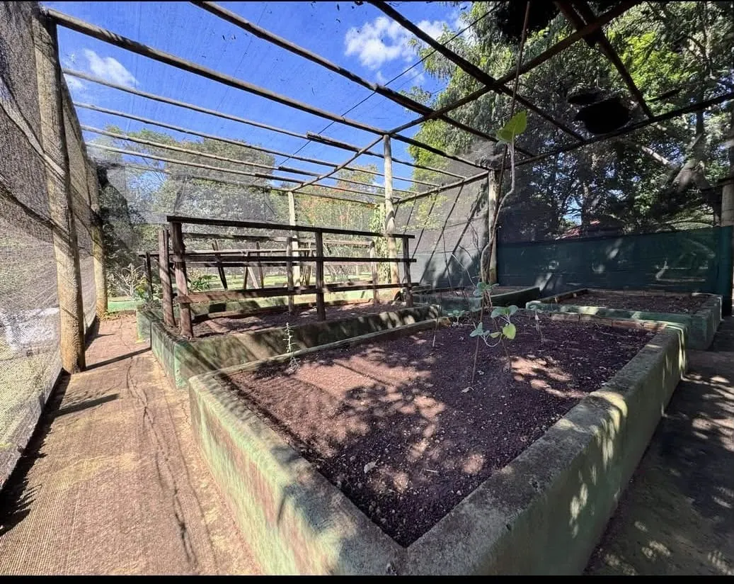 Chácara à venda de 5.000 m² em Uberlândia, MG, Brasil