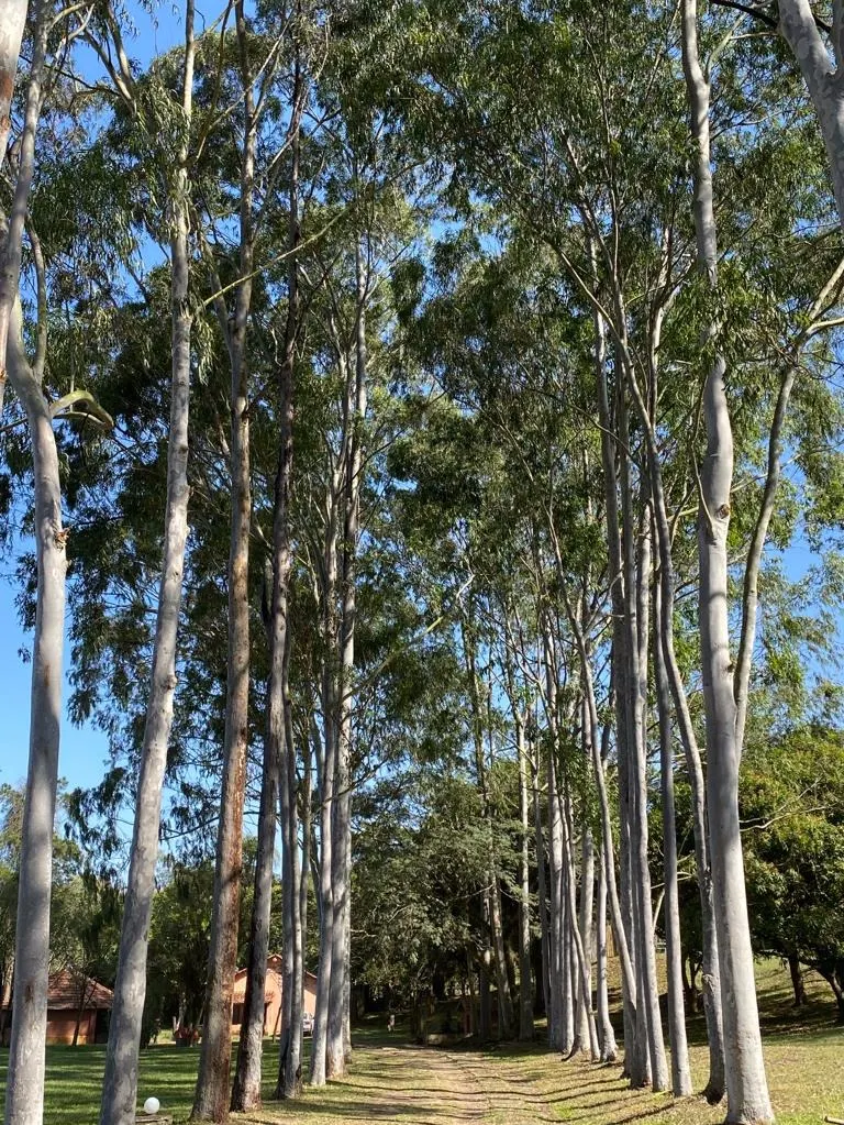 Sítio à venda de 4 ha em Caçapava, SP, Brasil