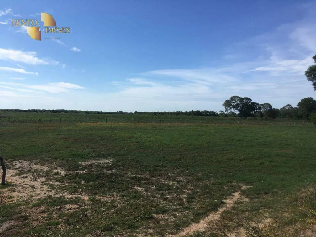 Fazenda à venda de 1.900 ha em Poconé, MT, Brasil