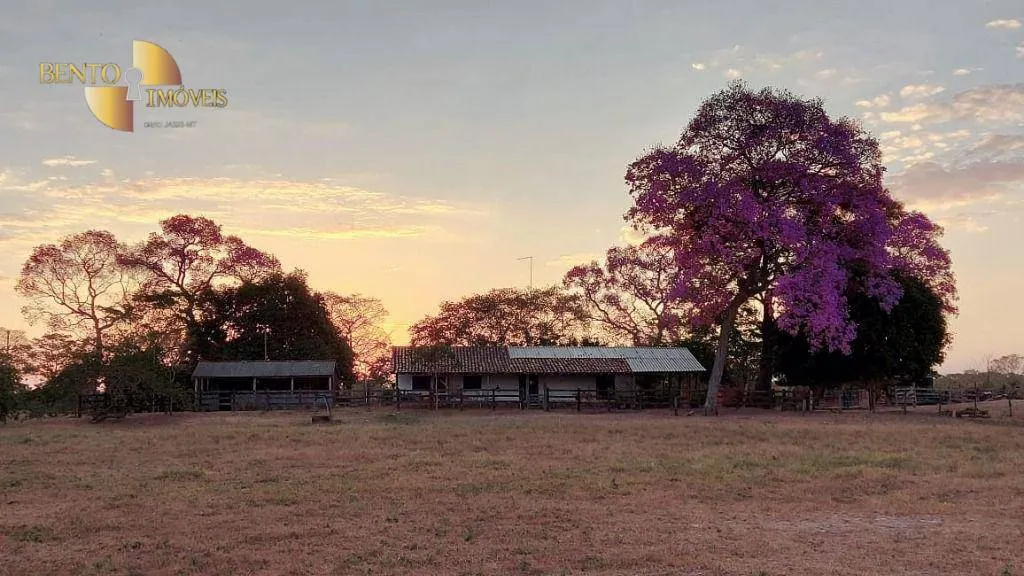 Fazenda à venda de 1.900 ha em Poconé, MT, Brasil