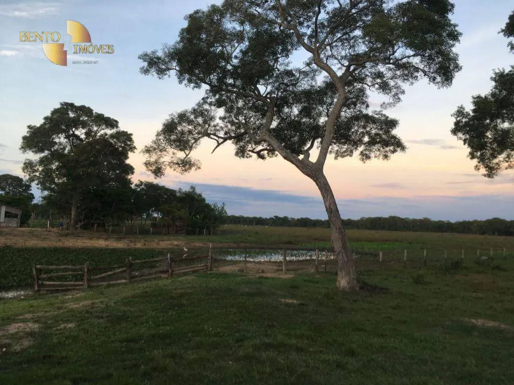 Fazenda à venda de 1.900 ha em Poconé, MT, Brasil