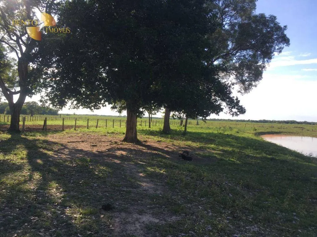 Fazenda à venda de 1.900 ha em Poconé, MT, Brasil