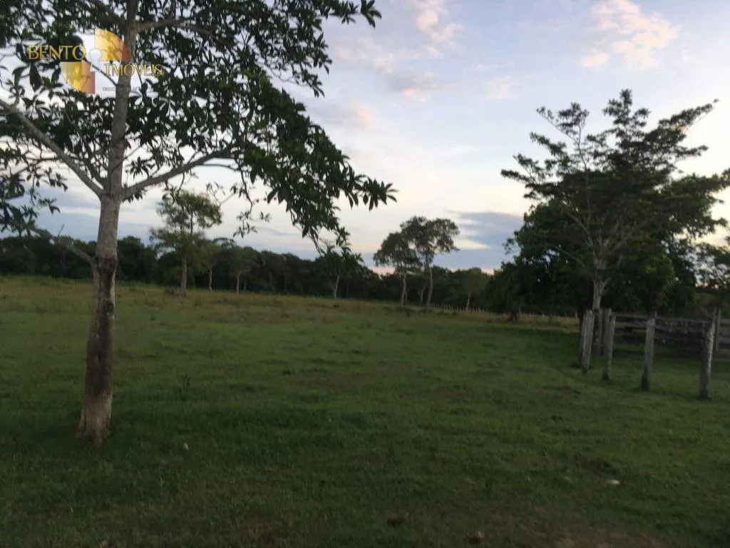Fazenda à venda de 1.900 ha em Poconé, MT, Brasil