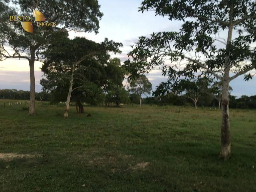 Fazenda à venda de 1.900 ha em Poconé, MT, Brasil