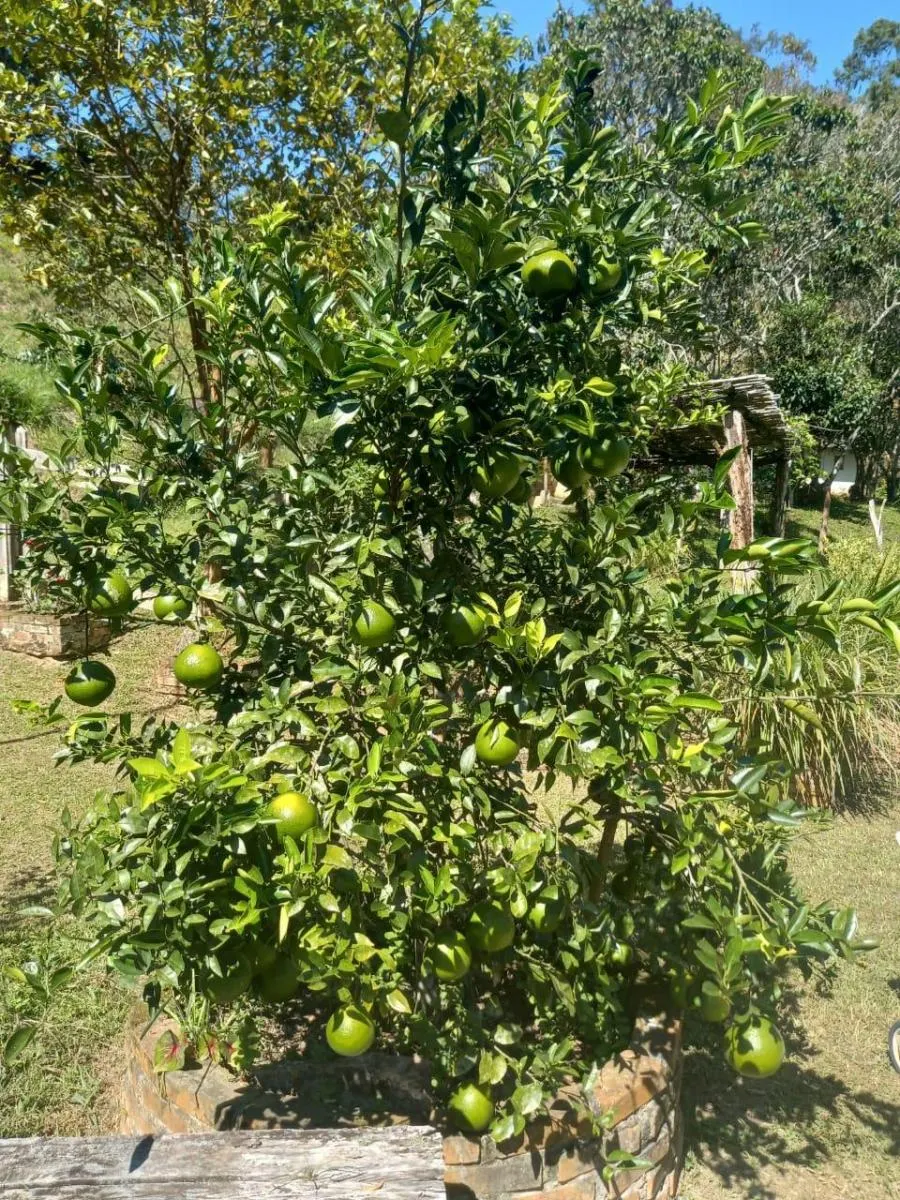 Sítio à venda de 31 ha em Natividade da Serra, SP, Brasil