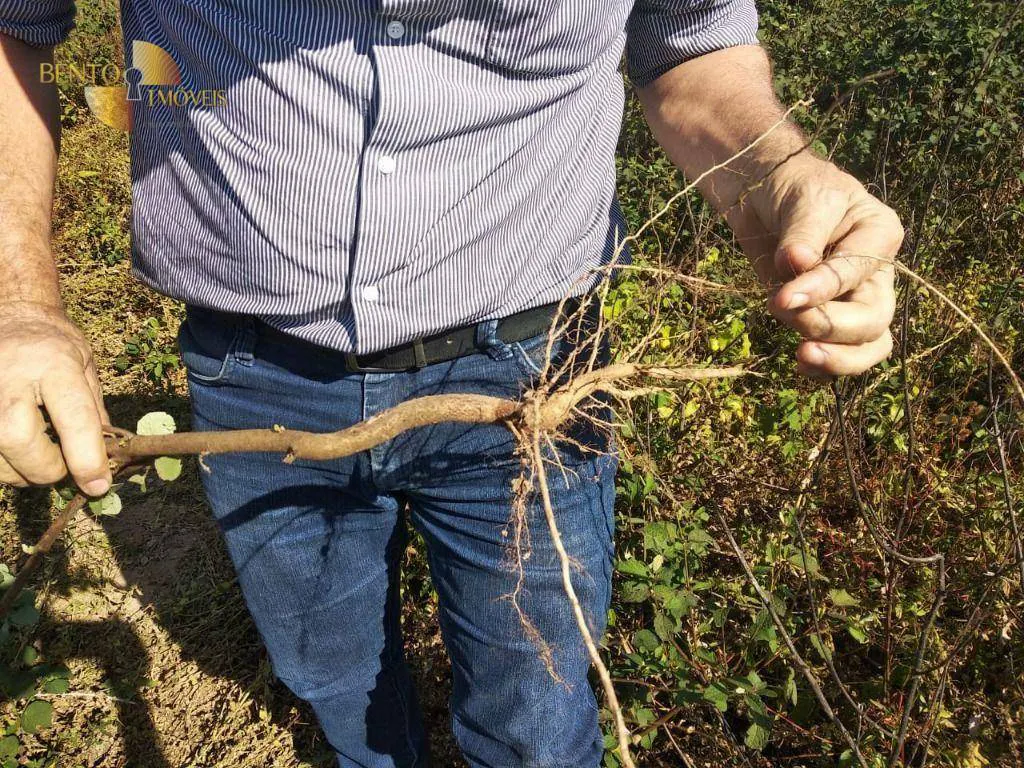 Fazenda à venda e para Arrendar de 2.260 ha em Alta Floresta, MT, Brasil