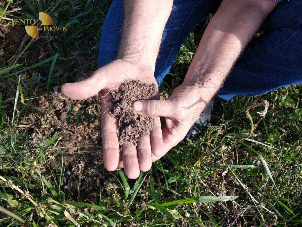 Fazenda à venda e para Arrendar de 2.260 ha em Alta Floresta, MT, Brasil