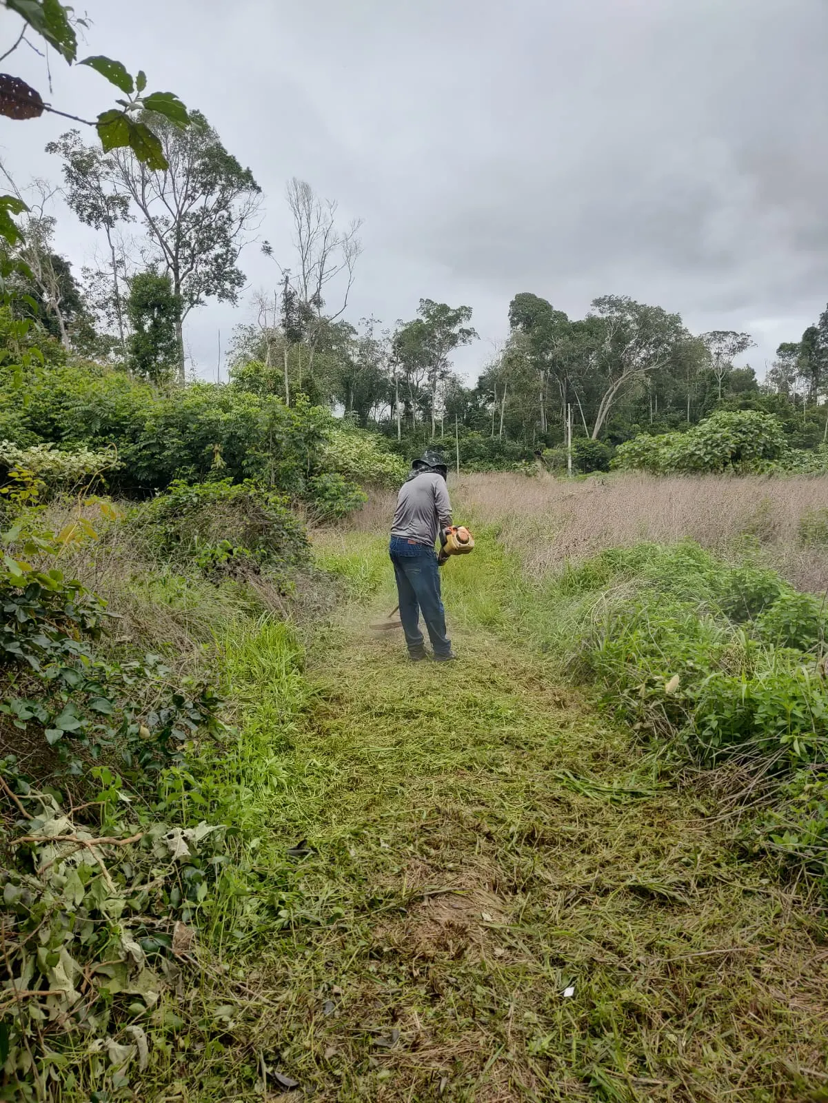 Chácara à venda de 1 ha em Santa Carmem, MT, Brasil