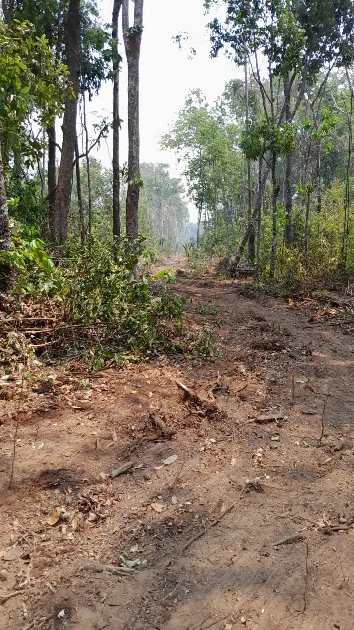 Chácara à venda de 1 ha em Santa Carmem, MT, Brasil
