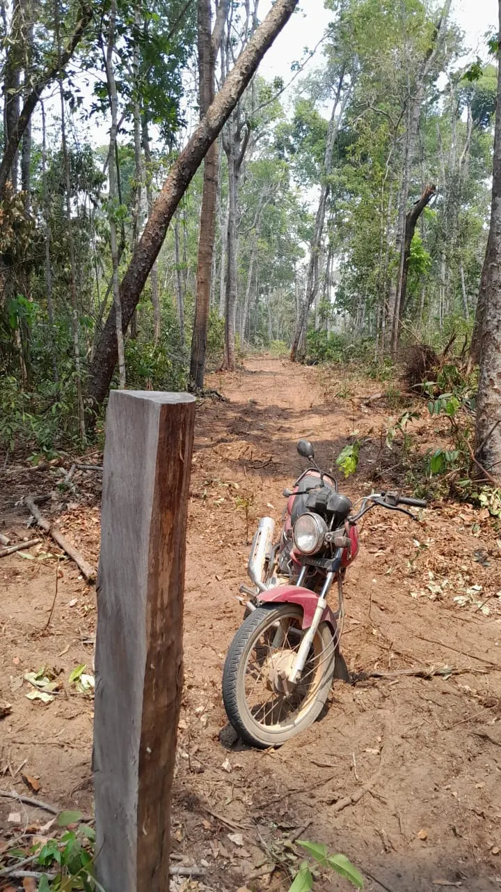 Chácara à venda de 1 ha em Santa Carmem, MT, Brasil
