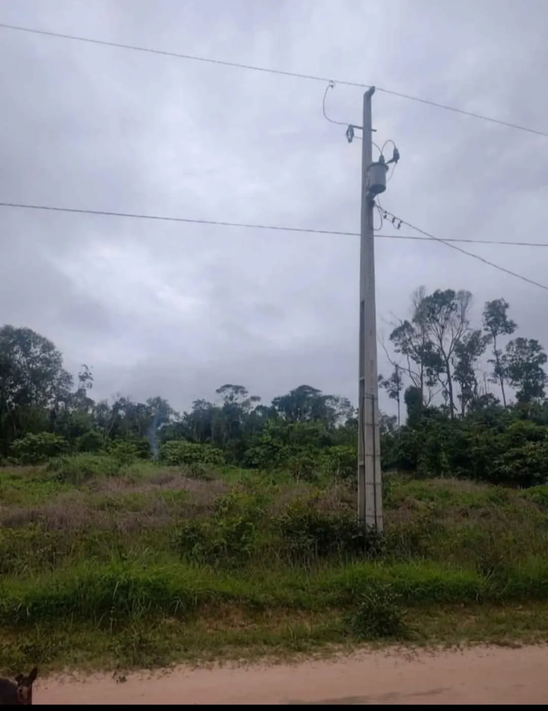 Chácara à venda de 1 ha em Santa Carmem, MT, Brasil