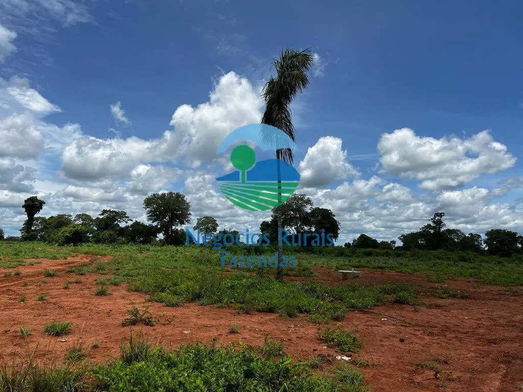 Fazenda à venda de 493 ha em Nova Crixás, GO, Brasil
