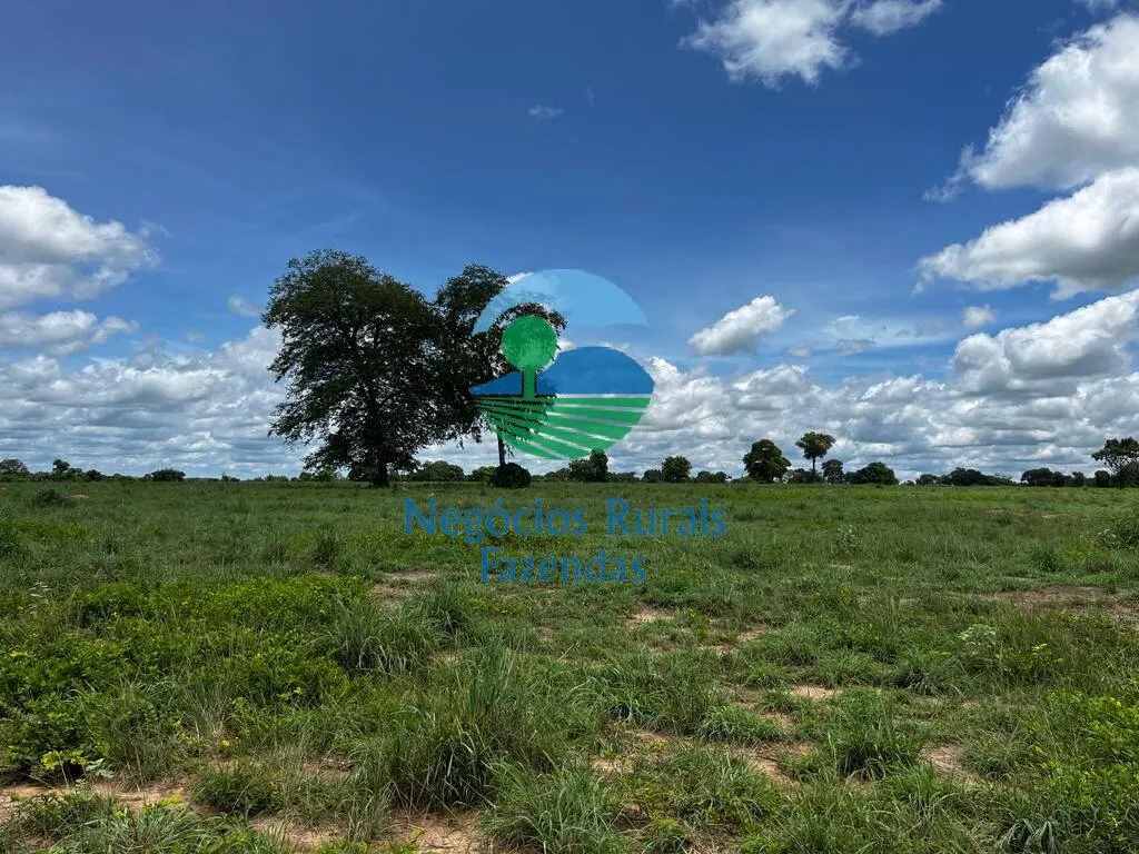 Fazenda à venda de 493 ha em Nova Crixás, GO, Brasil