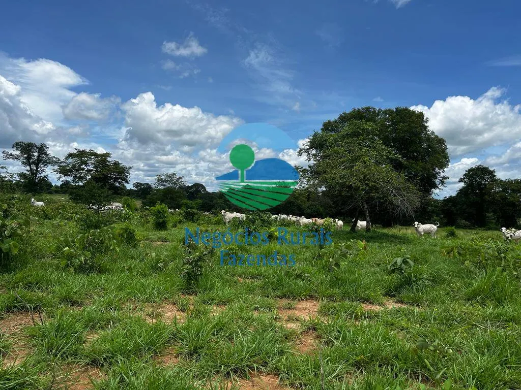 Fazenda à venda de 493 ha em Nova Crixás, GO, Brasil