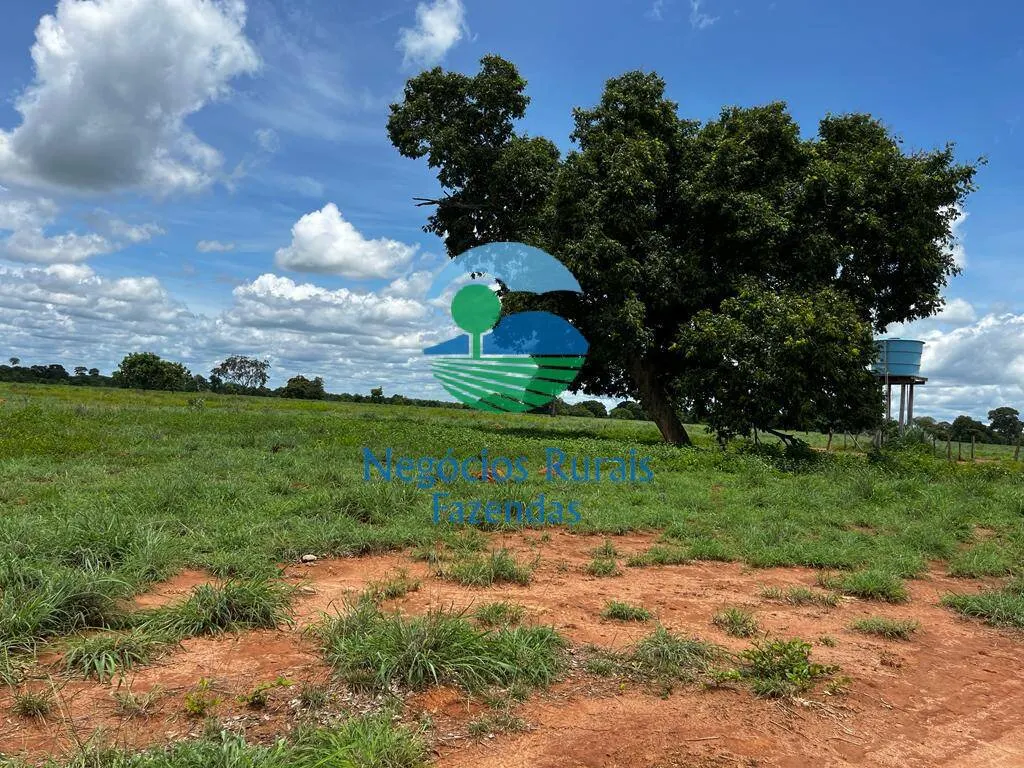 Fazenda à venda de 493 ha em Nova Crixás, GO, Brasil