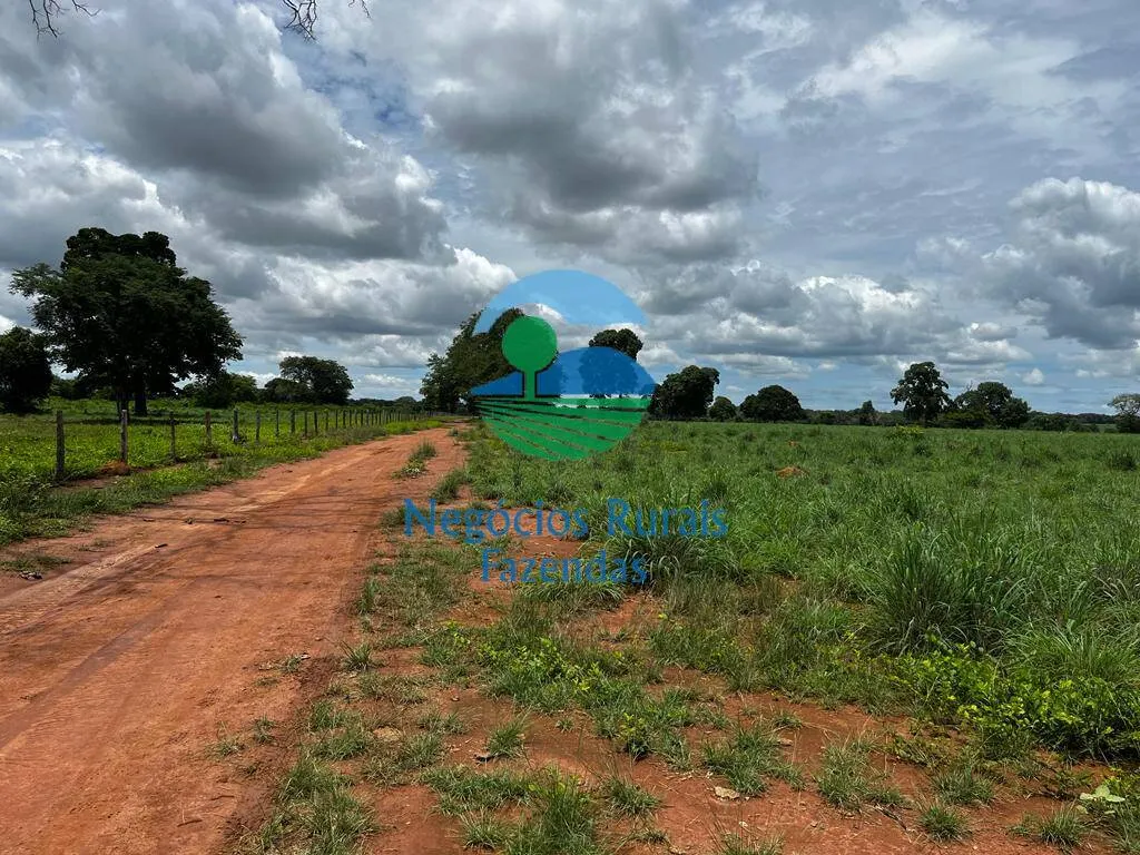 Fazenda à venda de 493 ha em Nova Crixás, GO, Brasil