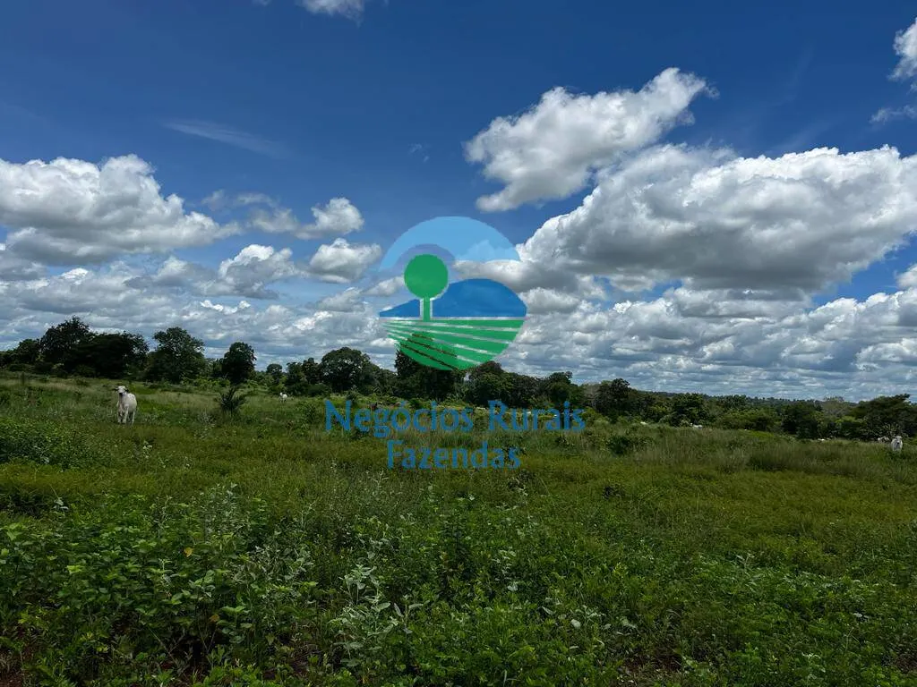 Fazenda à venda de 493 ha em Nova Crixás, GO, Brasil