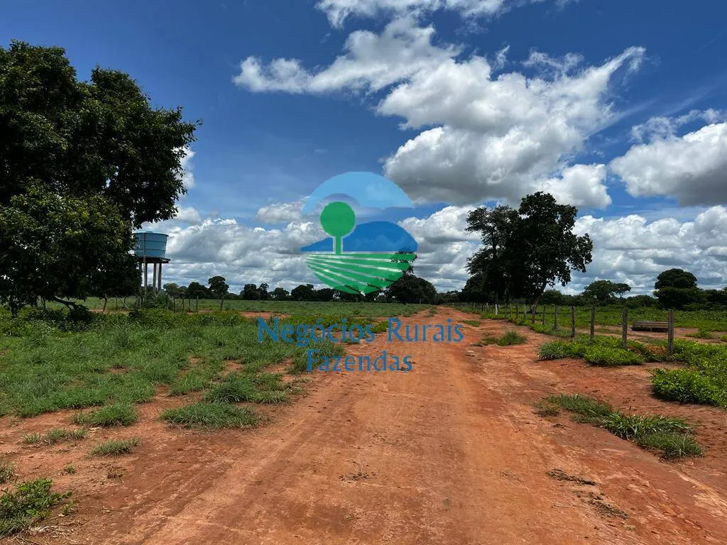 Fazenda à venda de 493 ha em Nova Crixás, GO, Brasil
