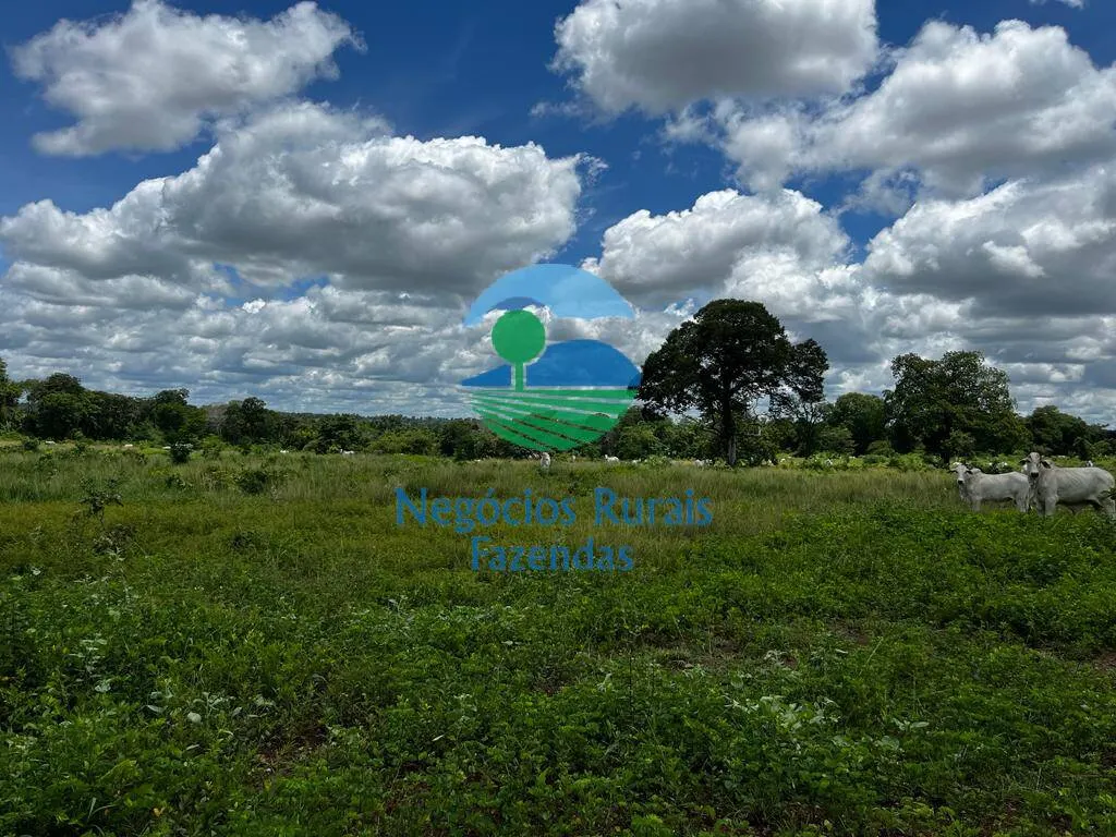 Fazenda à venda de 493 ha em Nova Crixás, GO, Brasil