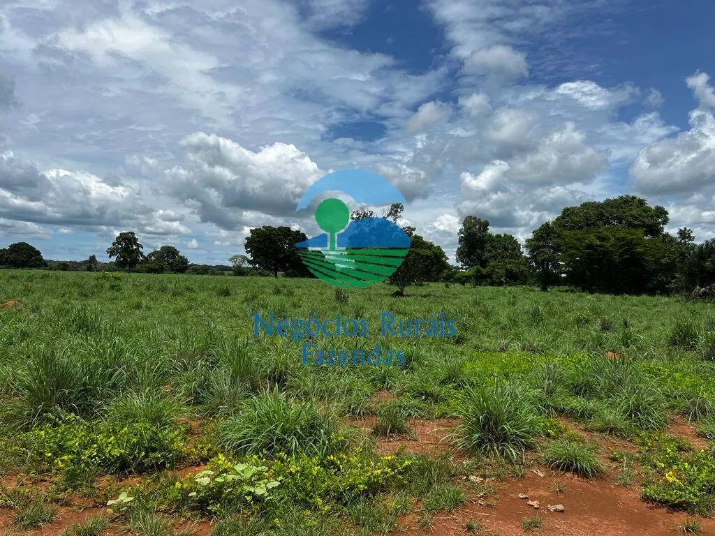 Fazenda à venda de 493 ha em Nova Crixás, GO, Brasil
