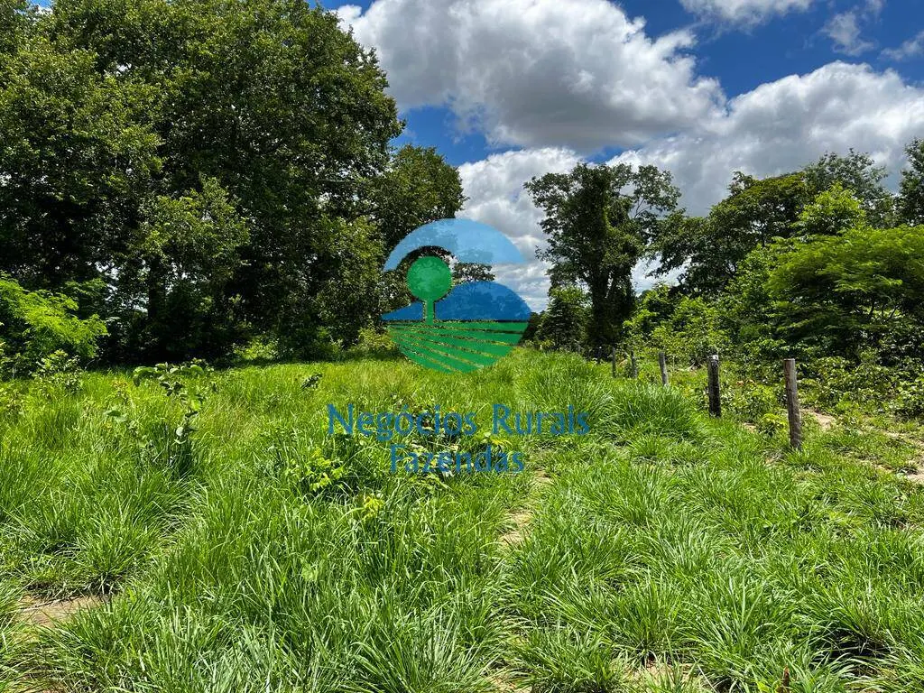 Fazenda à venda de 493 ha em Nova Crixás, GO, Brasil