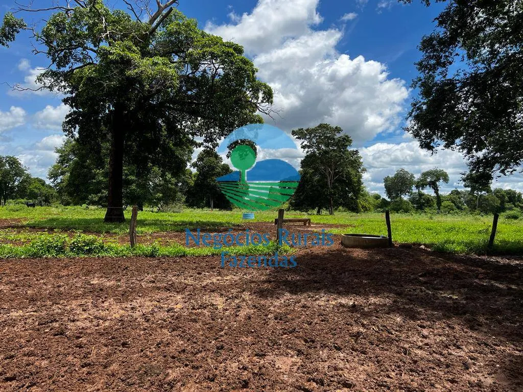 Fazenda à venda de 493 ha em Nova Crixás, GO, Brasil