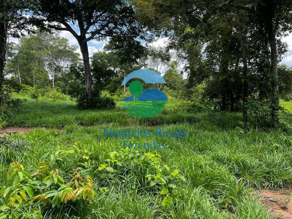 Fazenda à venda de 493 ha em Nova Crixás, GO, Brasil