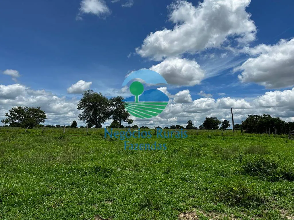 Fazenda à venda de 493 ha em Nova Crixás, GO, Brasil