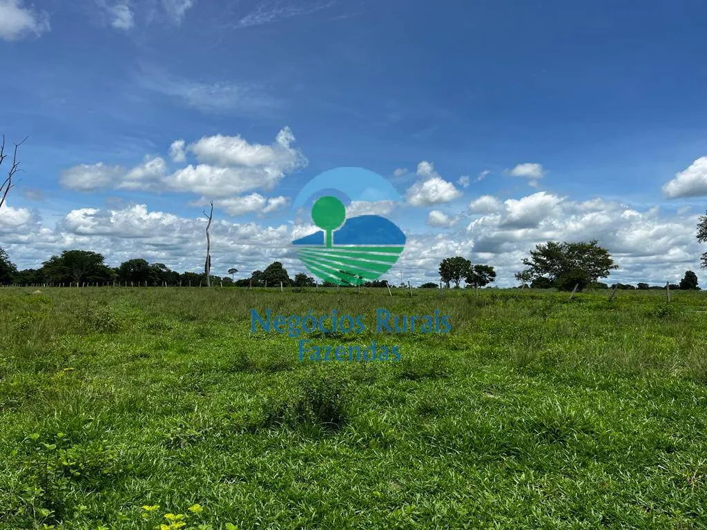 Fazenda à venda de 493 ha em Nova Crixás, GO, Brasil