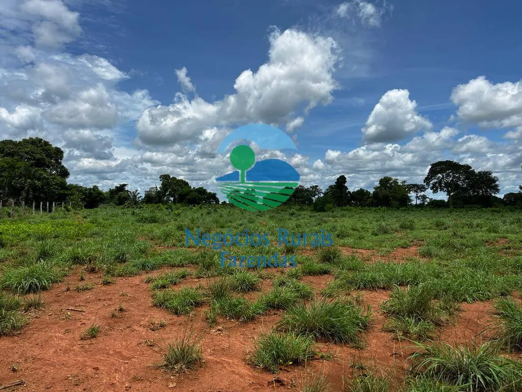Fazenda à venda de 493 ha em Nova Crixás, GO, Brasil