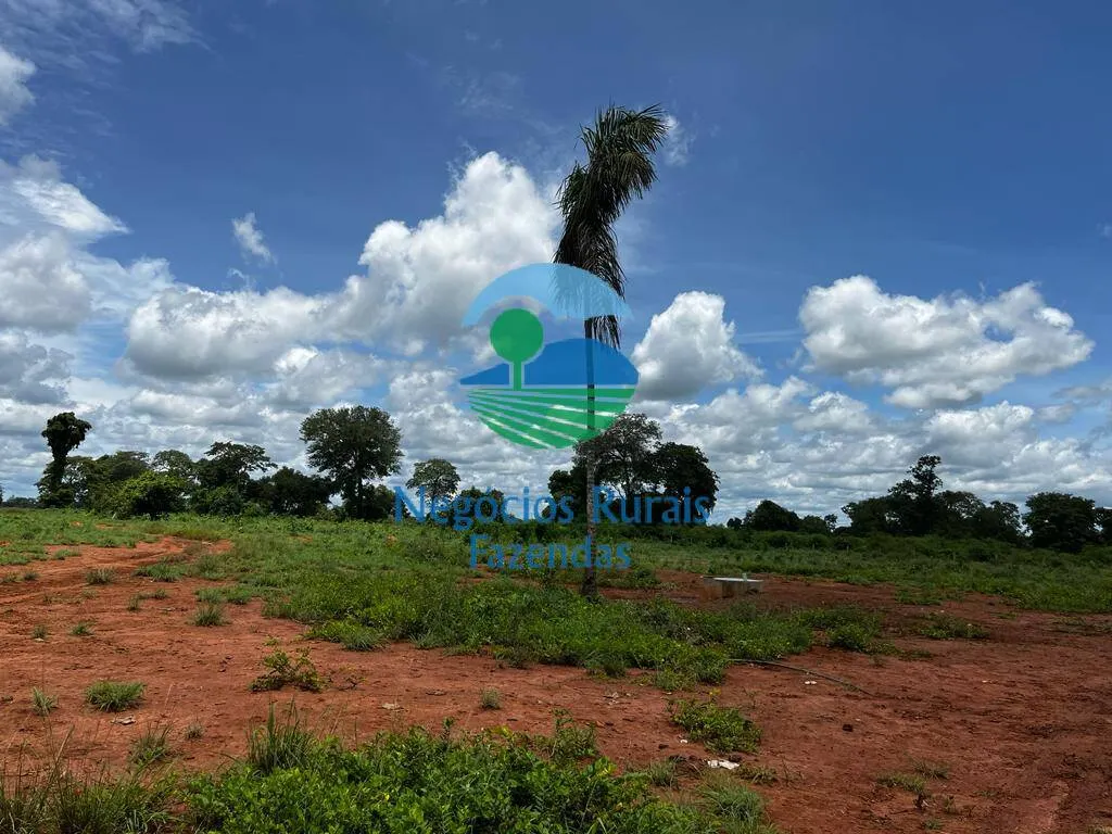 Fazenda à venda de 493 ha em Nova Crixás, GO, Brasil