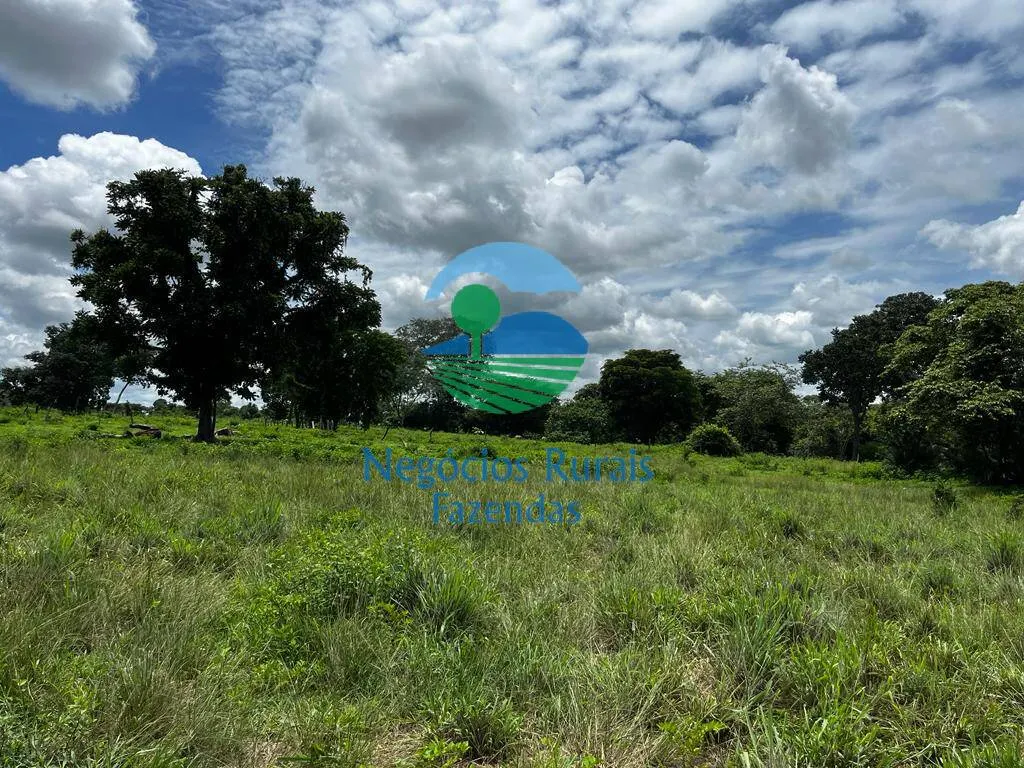Fazenda à venda de 493 ha em Nova Crixás, GO, Brasil