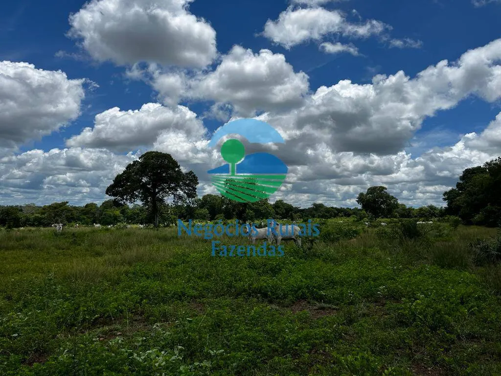 Fazenda à venda de 493 ha em Nova Crixás, GO, Brasil