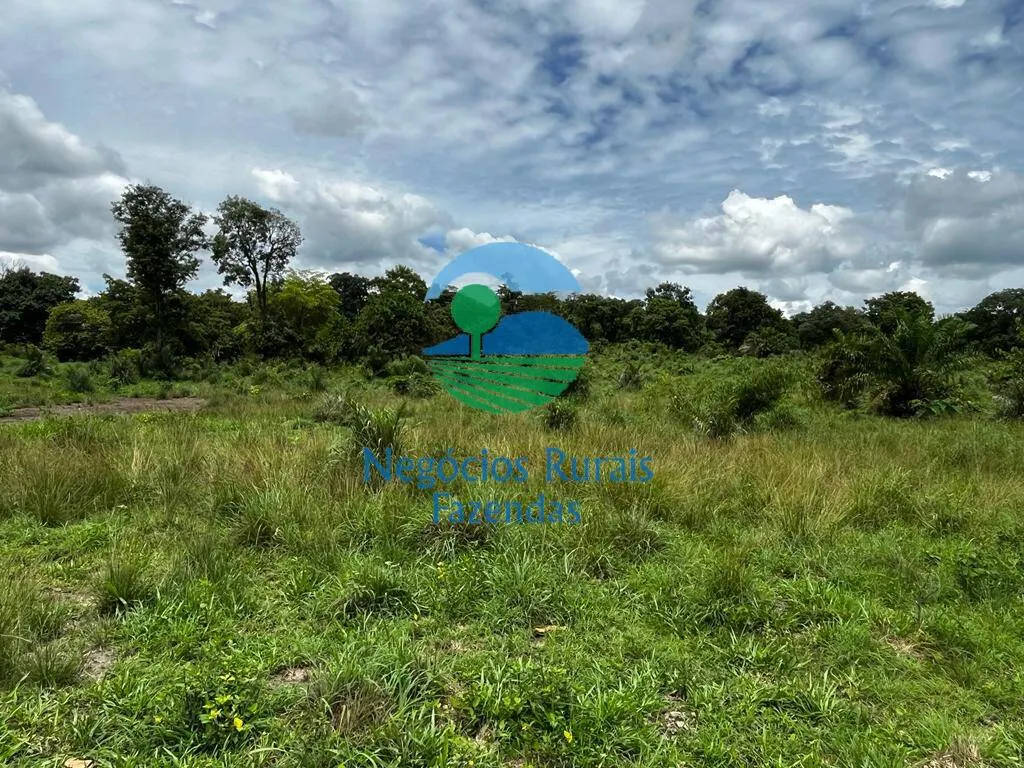 Fazenda à venda de 493 ha em Nova Crixás, GO, Brasil