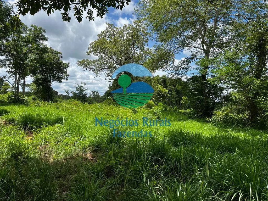 Fazenda à venda de 493 ha em Nova Crixás, GO, Brasil