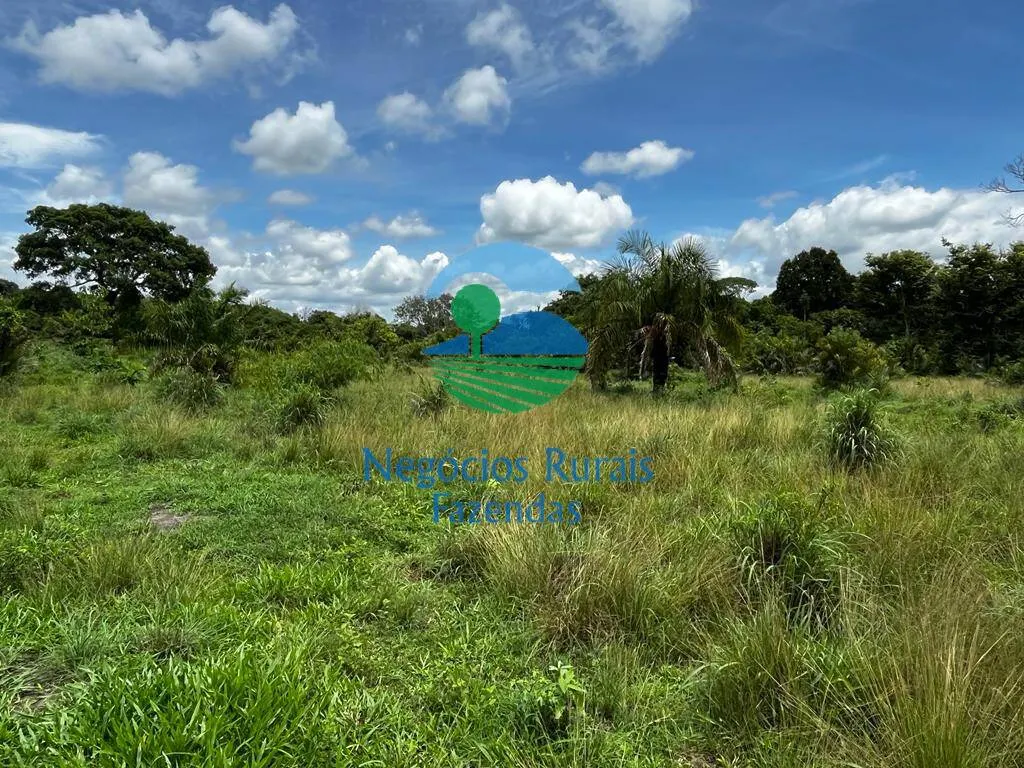 Fazenda à venda de 493 ha em Nova Crixás, GO, Brasil