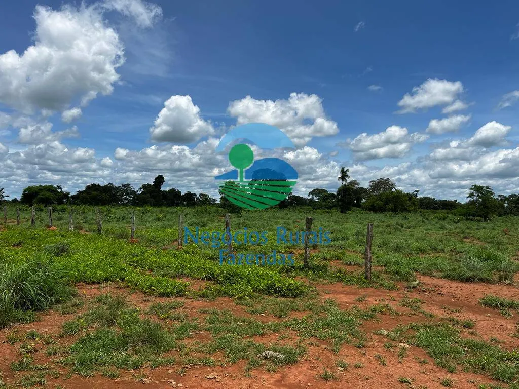 Fazenda à venda de 493 ha em Nova Crixás, GO, Brasil