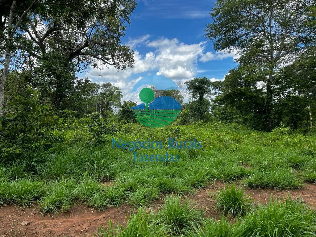 Fazenda à venda de 493 ha em Nova Crixás, GO, Brasil