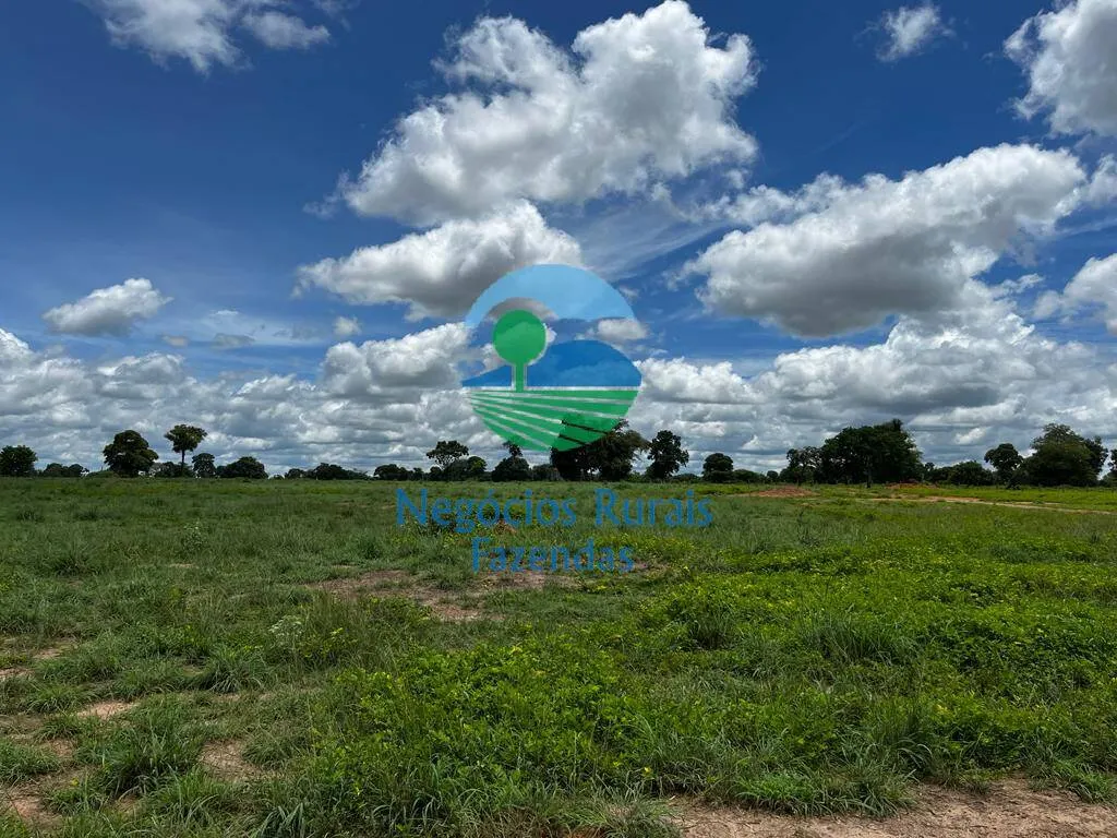 Fazenda à venda de 493 ha em Nova Crixás, GO, Brasil