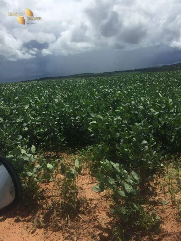 Fazenda à venda e para Arrendar de 5.200 ha em Brasnorte, MT, Brasil