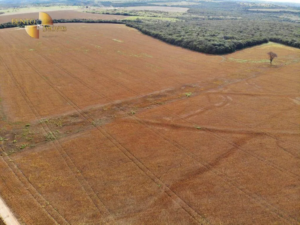 Fazenda à venda e para Arrendar de 5.200 ha em Brasnorte, MT, Brasil