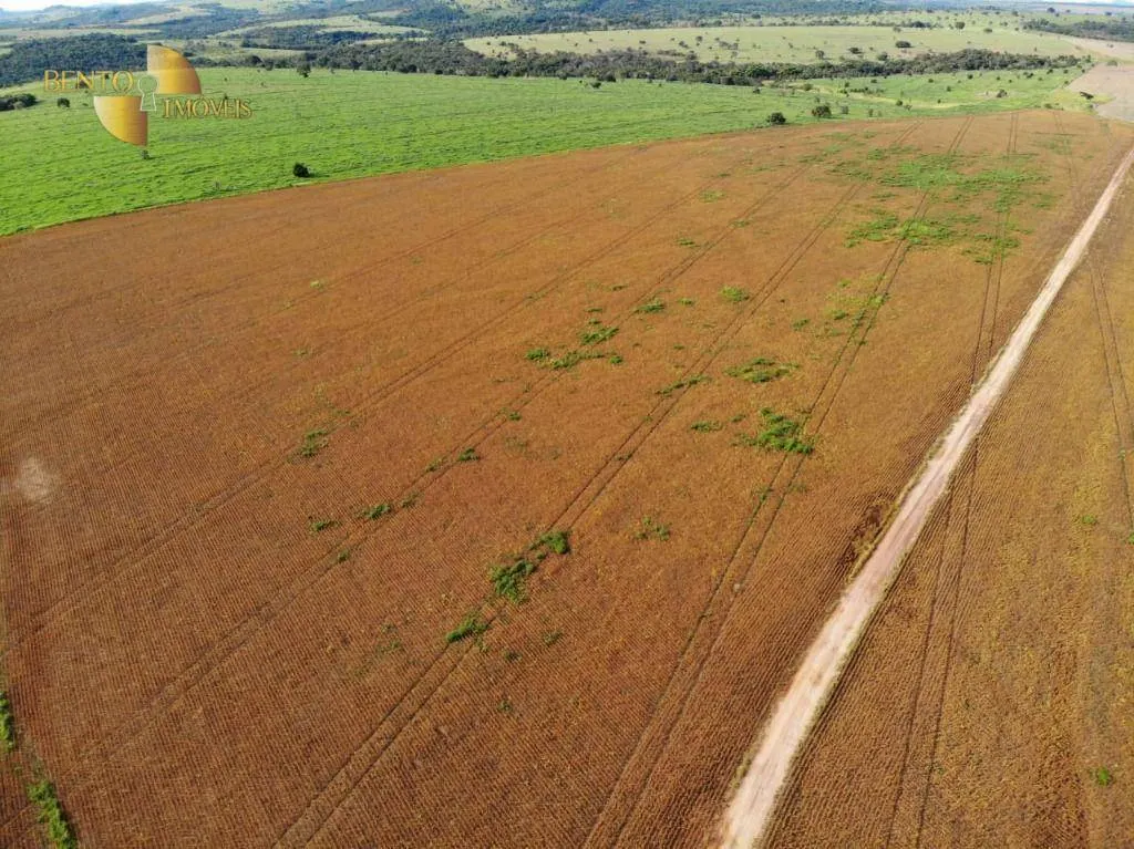 Fazenda à venda e para Arrendar de 5.200 ha em Brasnorte, MT, Brasil