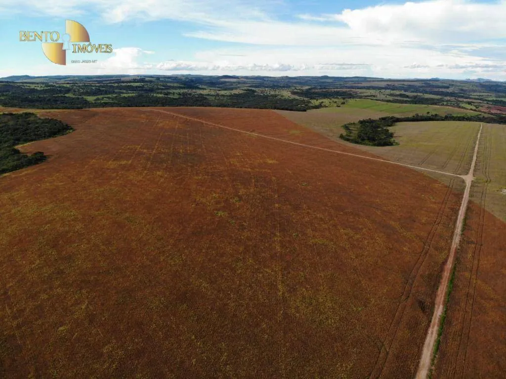 Fazenda à venda e para Arrendar de 5.200 ha em Brasnorte, MT, Brasil